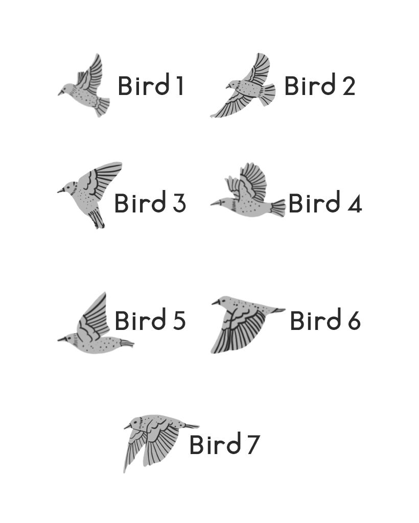 Design chart of seven engraved starling poses labelled Bird 1 to Bird 7, the bird styles for the Murmuration jewellery